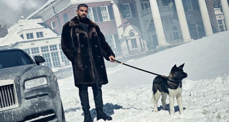 Latest News Drake for the Dogs