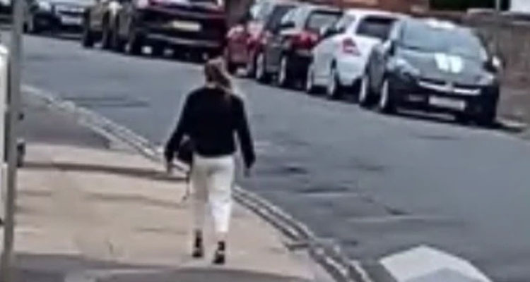 Latest News Woman Frozen in Street Video TikTok